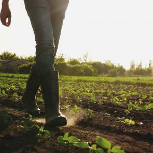 Agricultural Land Use