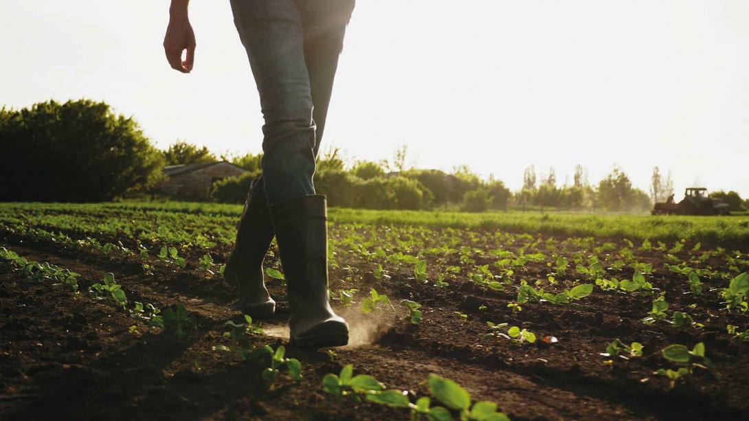 Agricultural Land Use